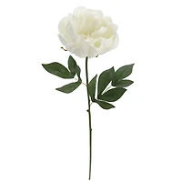 White Peony Stem by Ashland®