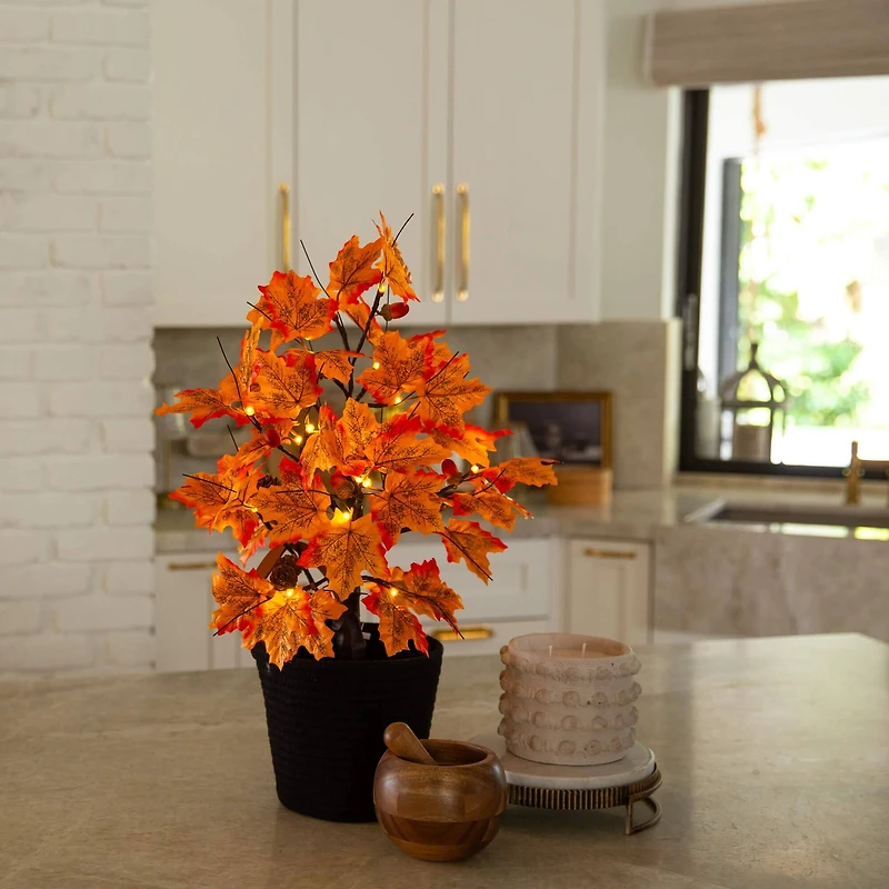 2ft. Pre-Lit Autumn Maple Artificial Fall Tree with Acorns & Pinecones and 18 Warm White LED Lights