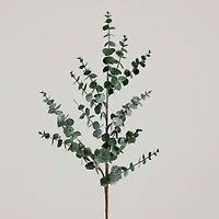 40" Green Eucalyptus Stems, 3ct.