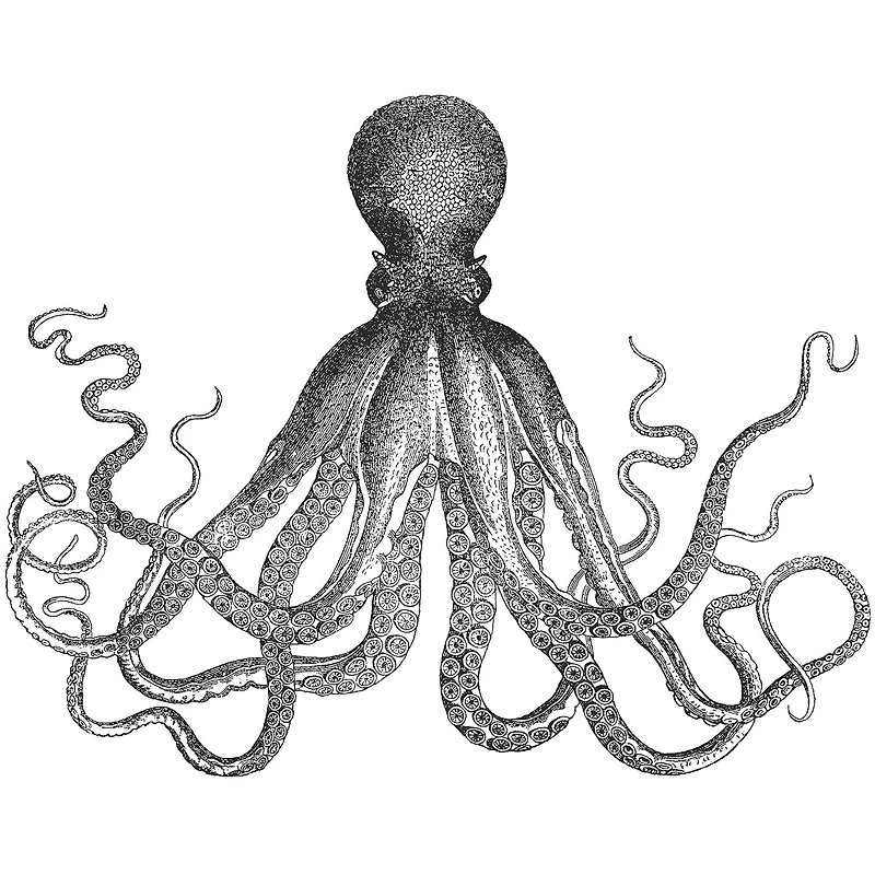 WallPops Black Ink Wall Art Kit