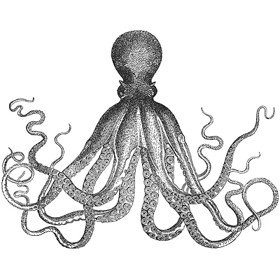 WallPops Black Ink Wall Art Kit