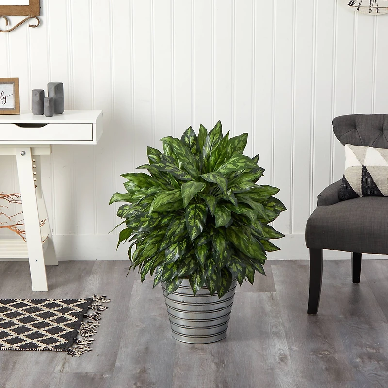 3ft. Silver King Plant in Decorative Tin Bucket