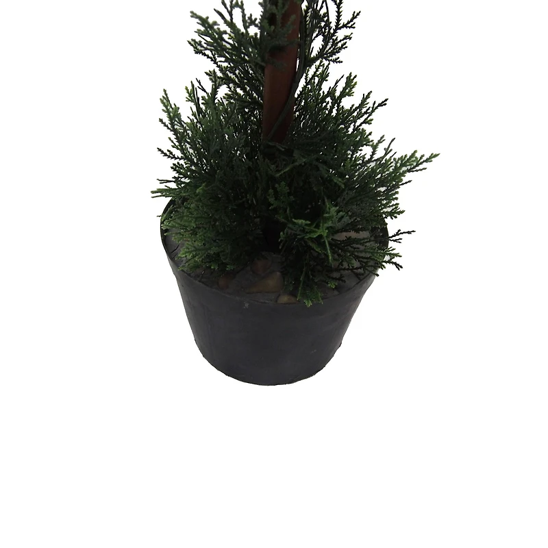 3ft. Potted Cedar Double Ball Topiary Tree