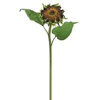 Brown Medium Flower Head Sunflower Spray