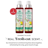 Scentsicles Scent Mister Lemon 'n Lilies, 2 pack