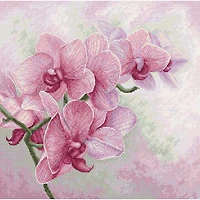 Luca-s Graceful Orchids Counted Cross Stitch Kit