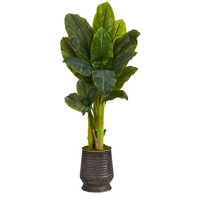 4ft. Triple Stalk Banana Tree in Ribbed Metal Planter