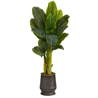 4ft. Triple Stalk Banana Tree in Ribbed Metal Planter