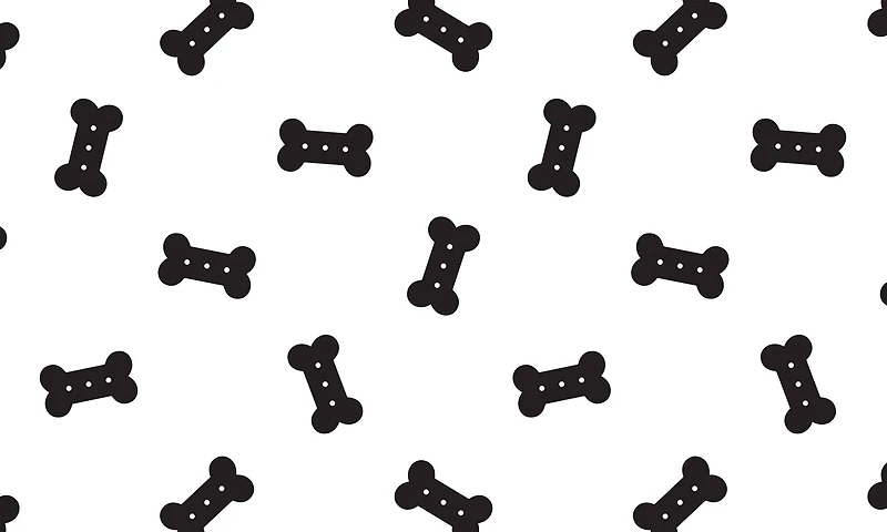 FloorPops Bones Black & White Washable Felt Floor Mat, 18" x 30"