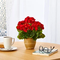 11'' Red Geranium in Ceramic Planter