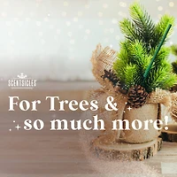 Scentsicles Candles White Winter Fir, O Christmas Tree and Snowberry Pine, 3 pack