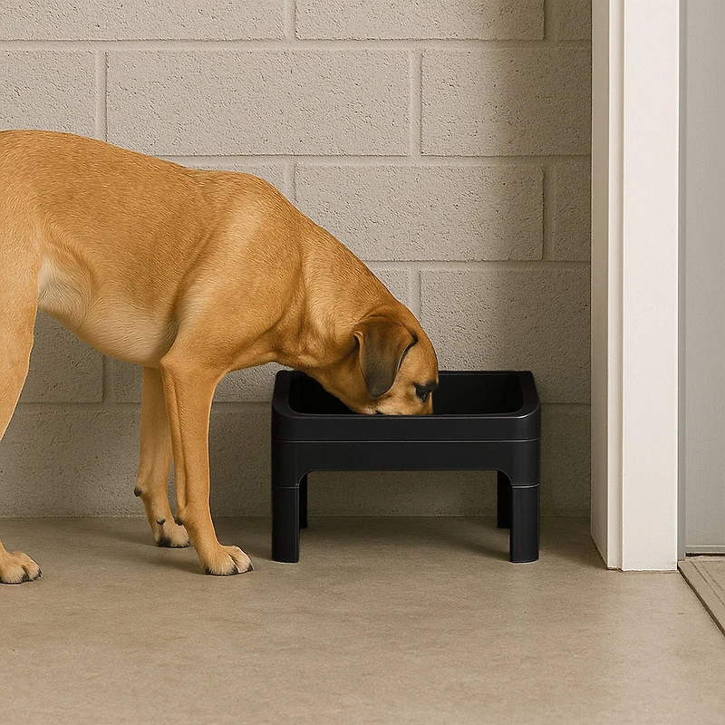 IRIS® Black Adjustable Elevated Pet Feeder, 2ct.