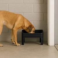 IRIS® Black Adjustable Elevated Pet Feeder, 2ct.