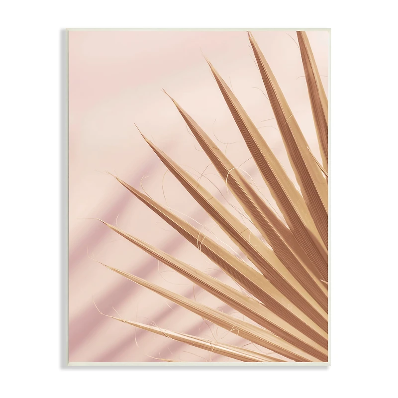 Stupell Industries Palm Frond Photograph Expressive Tropical Plant Sun Bleached Wall Plaque
