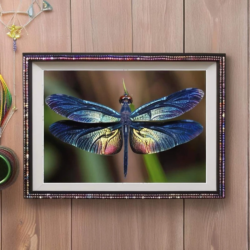 Sparkly Selections Dragonfly 40cm x 50cm Diamond Painting Kit, Round Diamonds