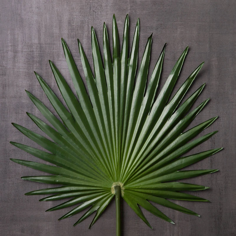 8 Pack: Green Fan Palm Stem by Ashland®