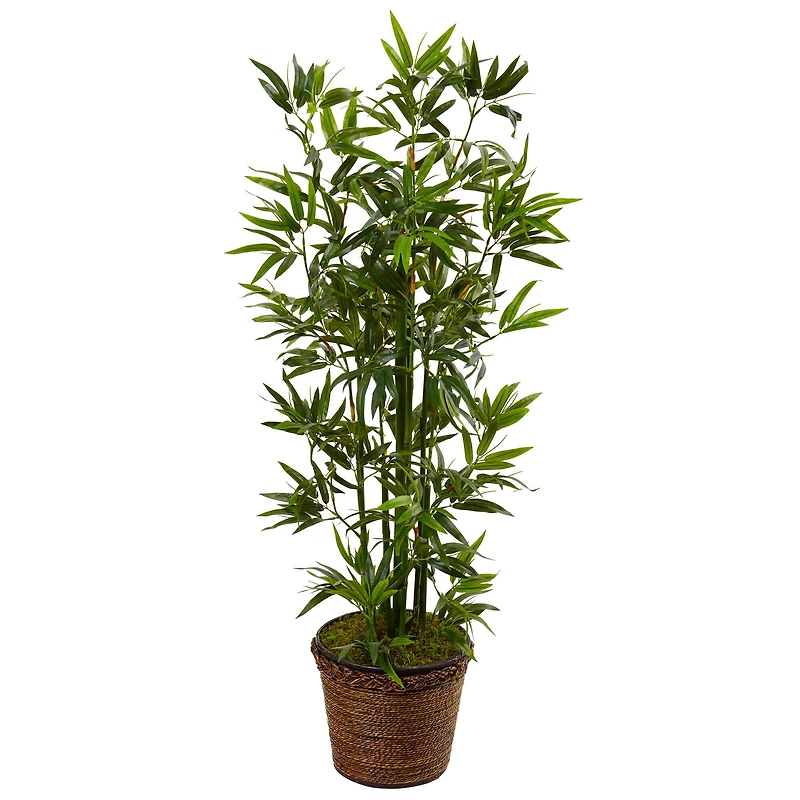 4ft. Bamboo Tree In Coiled Rope Planter