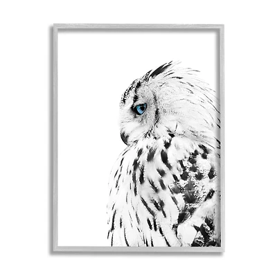 Stupell Industries Snow Owl White Feathers Peering Blue Eyes in Gray Frame Wall Art