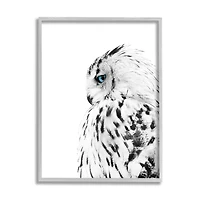 Stupell Industries Snow Owl White Feathers Peering Blue Eyes in Gray Frame Wall Art
