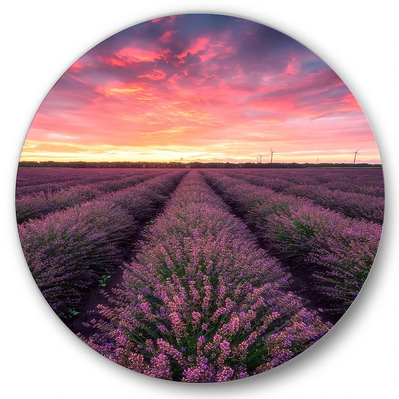 Designart - Sunrise & Dramatic Clouds Over Lavender Field XIV