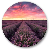 Designart - Sunrise & Dramatic Clouds Over Lavender Field XIV