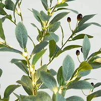 6ft. Pre-Lit Artificial Fruiting Olive Tree with Warm White LED Lights