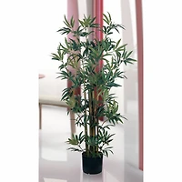 4ft. Potted Bamboo Plant