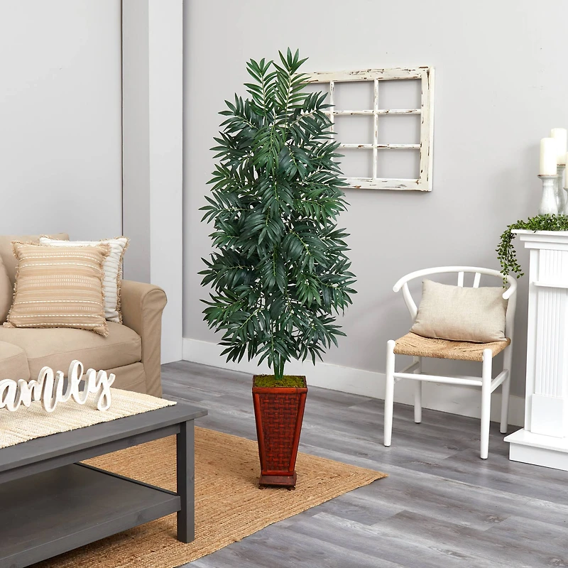 5.5ft. Bamboo Palm Plant in Decorative Planter