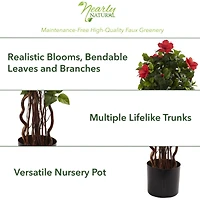 4ft. Potted Red & Green Hibiscus Tree