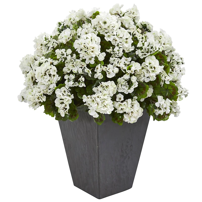 2.5ft. White Geranium in Slate Planter