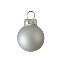 40ct. Shiny & Matte Silver Glass Ball Ornaments