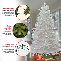 7.5 ft. Pre-Lit White Dunhill® Fir Full Artificial Christmas Tree, Clear Lights