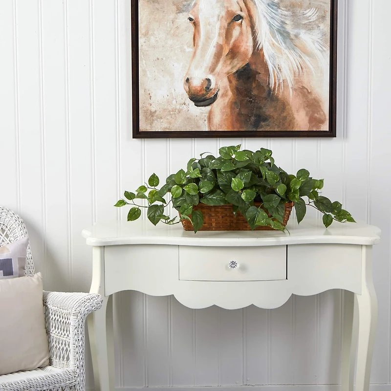 15" Pothos in Ledge Basket