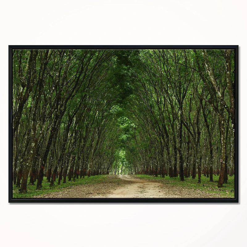 Designart - Pathway in Thick Green Forest