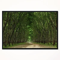 Designart - Pathway in Thick Green Forest