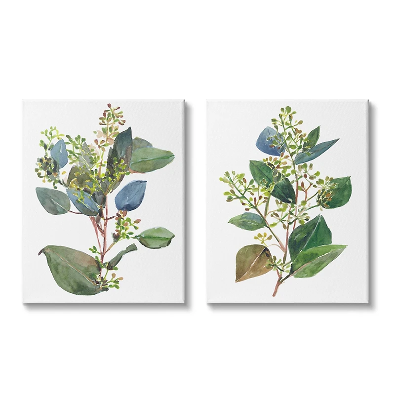 Stupell Industries Soft Eucalyptus Plant Blue Green Ombre Leaves Canvas Wall Art