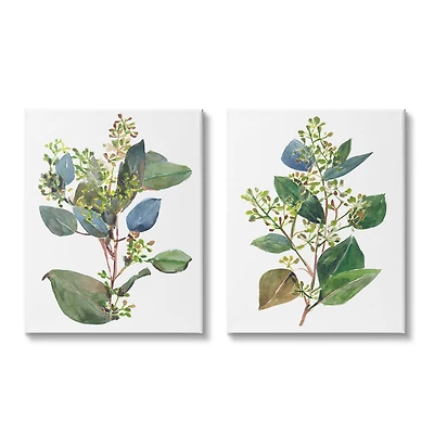 Stupell Industries Soft Eucalyptus Plant Blue Green Ombre Leaves Canvas Wall Art
