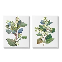Stupell Industries Soft Eucalyptus Plant Blue Green Ombre Leaves Canvas Wall Art