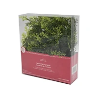 15ct. Warm White LED Pine Garland String Lights on Green Wire by Ashland®