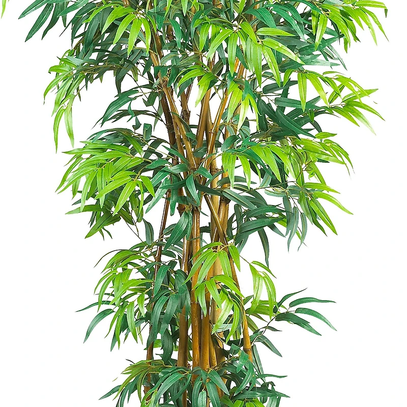 6ft. Potted Curved Bamboo Tree