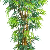 6ft. Potted Curved Bamboo Tree