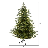 6ft. Pre-Lit Swedish Fir Artificial Christmas Tree with Warm White LED Lights