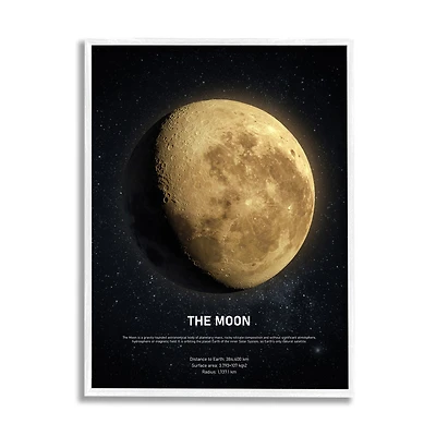 Stupell Industries Earth's Moon Celestial Facts Wall Art in White Frame