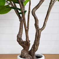 6ft. Artificial Audrey Ficus Leaf Tree in White Decorative Planter