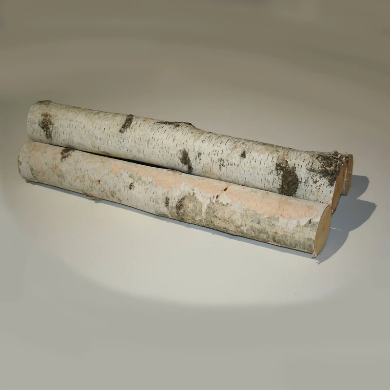 Wilson® Enterprises Large White Birch Logs Set, 3ct.