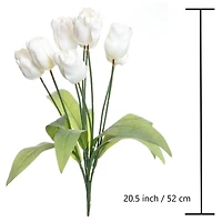 White Tulip Bush by Ashland®