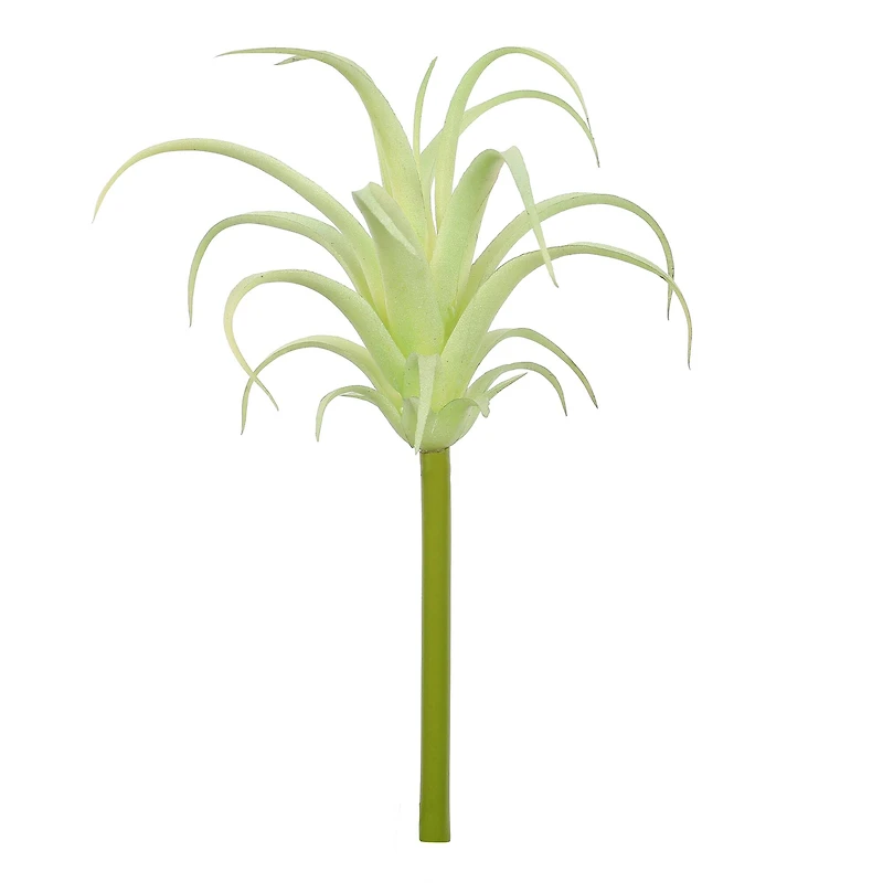 Assorted 7" Tillandsia Pick by Ashland®