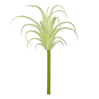 Assorted 7" Tillandsia Pick by Ashland®