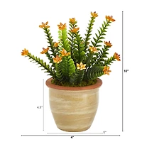 10" Flowering Sedum Succulent Plant in Ceramic Planter