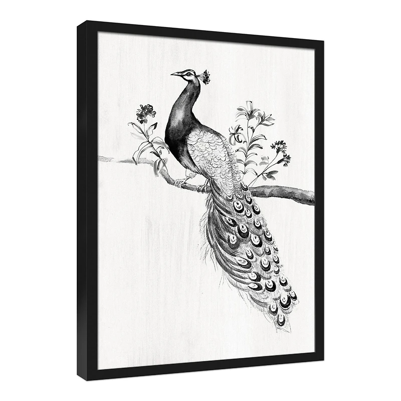 Perching Peacock 21.73" x 31.73" Black Framed Canvas